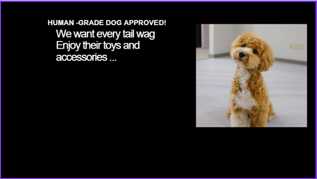 <h3>Pet Supplies </h3>